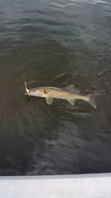 Joe Giuliani - 20190703_135320_003.jpg